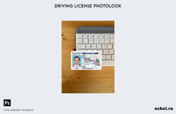цифровая загрузка США Коннектикут DL шаблон Photolook FRONT